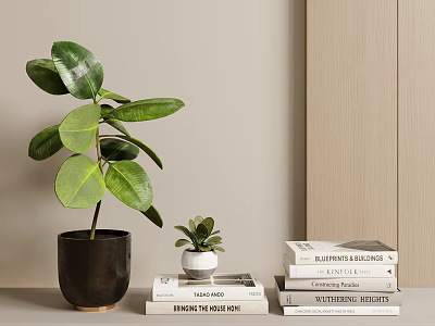 Home Interior Decorative Ornament Combination with Green Plants Black White Ceramic Pots and Stacked Books 3d model
