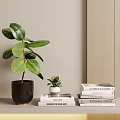 Home Interior Decorative Ornament Combination with Green Plants Black White Ceramic Pots and Stacked Books