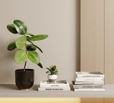 Home Interior Decorative Ornament Combination with Green Plants Black White Ceramic Pots and Stacked Books 3d model