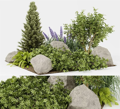 Colorful Garden Flowers And Plants Featuring Lavender Pine Tree Shrubs Stones And Natural Arrangement 3d model
