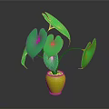 Green Leafy Plant in Yellow Vase with Gray Background and Lush Foliage