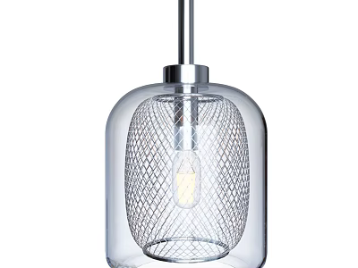 Modern Minimalist Pendant Light with Transparent Glass Shade and Mesh Design Chrome Base Visible Bulb 3d model