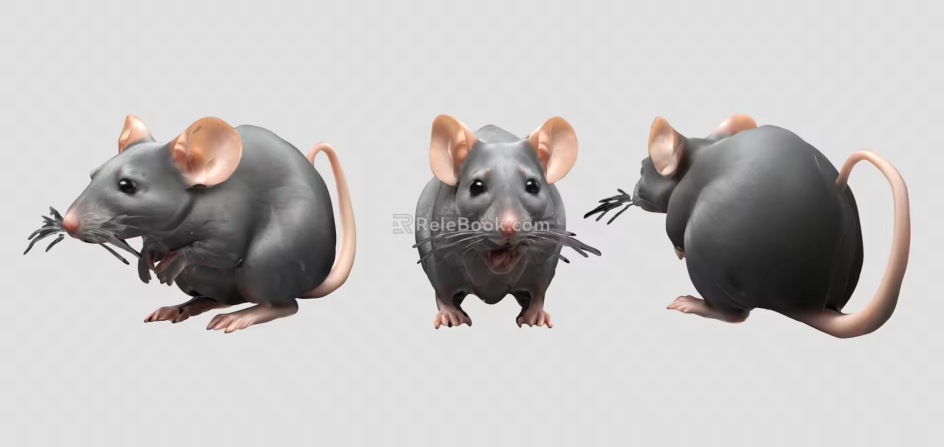 Jerry Mouse Wizard Animation Mouse Gray Mouse Laboratory Mouse Pest Fat Mouse Plague Stealing Lamp Fuel Consumption 3d model