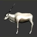 White and Light Brown Antelope with Long Curved Horns Standing Against Gray Background with Reflection