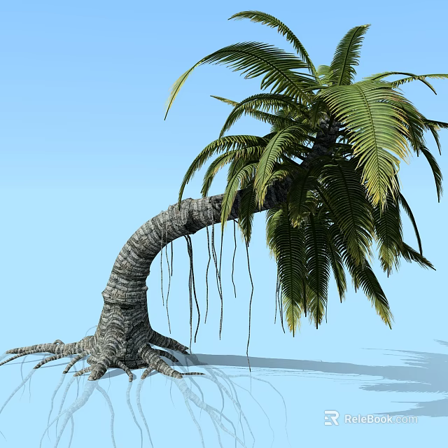Lush Palm Tree with Curved Trunk Exposed Roots Against Blue Sky 3d model 