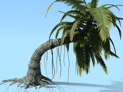 Lush Palm Tree with Curved Trunk Exposed Roots Against Blue Sky 3d model