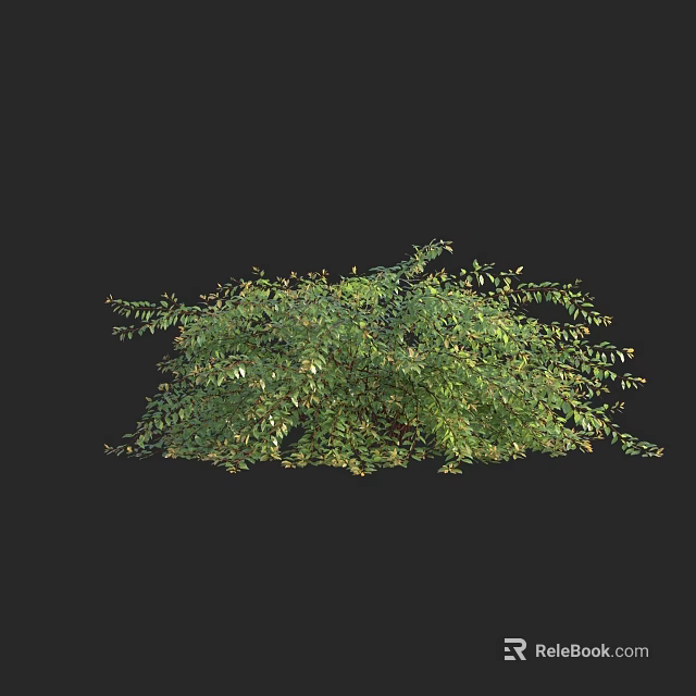 Vibrant Green Shrub with Lush Dense Foliage and Healthy Fresh Leaves 3d model 