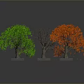 Three Varied Trees With Green Foliage Red Leaves And Leafless Branches On Dark Background