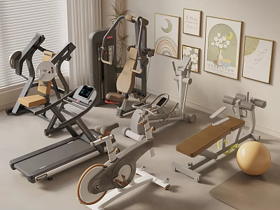 Indoor Home Gym With Treadmill Exercise Bike Weight Bench And Fitness Ball 3d model