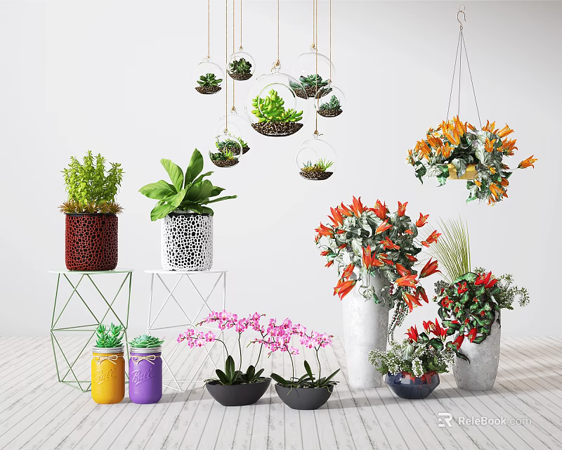 Various Bonsai Plants Display With Colorful Pots Hanging And Tabletop Arrangements 3d model 
