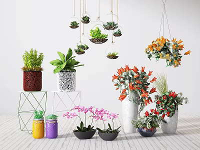 Various Bonsai Plants Display With Colorful Pots Hanging And Tabletop Arrangements 3d model