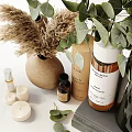 Daily Skincare And Bath Essentials On Organized Shelf With Eucalyptus Plant And Pampas Grass