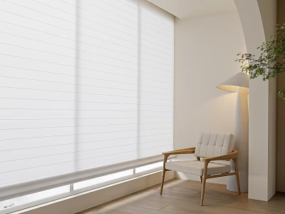 Modern Living Room White Roller Curtain With Light Wooden Chair Floor Lamp And Green Plant 3d model