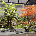 Indoor Landscape Design Featuring Large Green Plants Red Maple Tree Rock Formations And Stone Lantern