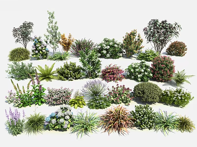 Various Types Of Shrubs For Garden Landscaping And Outdoor Design Projects 3d model