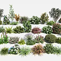 Various Types Of Shrubs For Garden Landscaping And Outdoor Design Projects