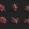 Red Decorative Shrubs With Various Shapes And Sizes On Dark Background 3d model