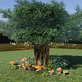 Tall Arbor With Thick Trunk Green Leaves And Mushrooms On Grassland