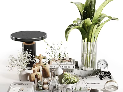 Decorative Ornament Collection with Green Plants Glass Vases Books and Wooden Accents 3d model