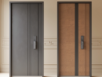 Modern security door entry door model