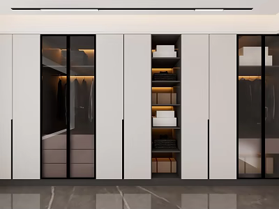 Modern Wardrobe Interior Design With Glass Doors Hanging Areas Drawers And Folded Clothes Storage 3d model