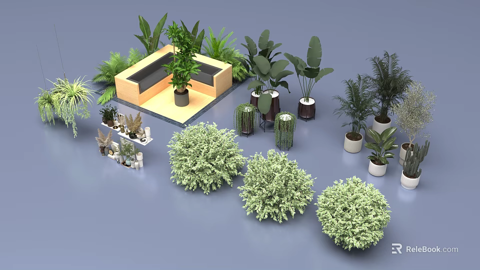 Various Potted Green Plants Including Bushes Ferns and Indoor Greenery 3d model 