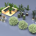 Various Potted Green Plants Including Bushes Ferns and Indoor Greenery