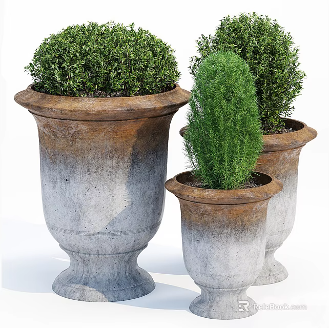 Decorative Potted Plants In Various Sizes With Rustic Style Concrete Pots And Green Shrubs 3d model 