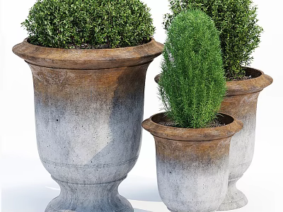 Decorative Potted Plants In Various Sizes With Rustic Style Concrete Pots And Green Shrubs 3d model