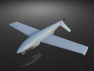 Gray Passenger Plane With Streamlined Body Large Wings And Tail Logo 3d model