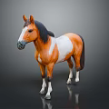 Brown and white full body horse standing isolated on black background with reflection
