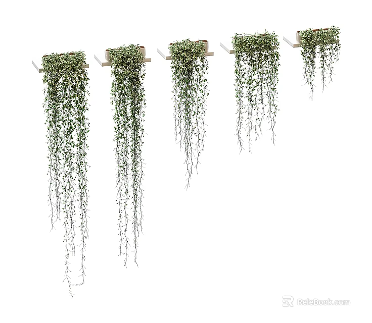 Trailing Green Leaf Bonsai Potted Plants Hanging On Wall For Indoor Decoration 3d model 