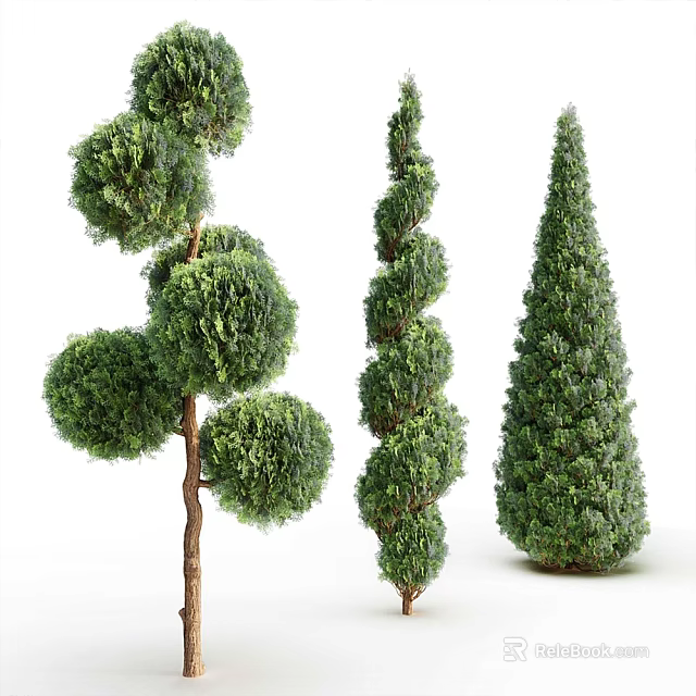 Various Shaped Arbor Trees For Landscaping With Green Foliage And Unique Designs 3d model 