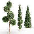 Various Shaped Arbor Trees For Landscaping With Green Foliage And Unique Designs