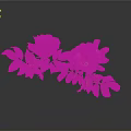 Bonsai Potted Plant With Pink Flowers And Green Leaves On Black Background