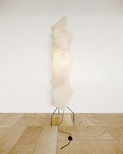 Unique Floor Lamp With Wavy Light Shade And Black Stand 3d model Unique Floor Lamp With Wavy Light Shade And Black Stand 3d model