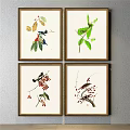 Four Framed Botanical Paintings with Detailed Plant Illustrations as Wall Art Decor