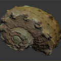 Detailed Animal Organ With Fine Hair And Natural Textured Surface