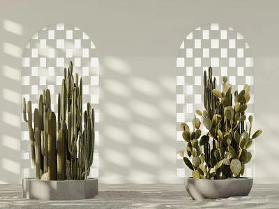Cactus Potted Plants Placed in White Setting With Arched Lattice Windows and Light Shadows 3d model