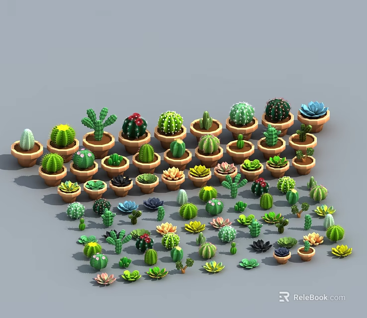 Cartoon Scene With Various Cactus And Succulent Plants In Different Pots 3d model 