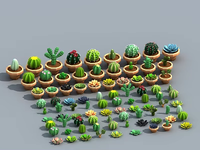 Cartoon Scene With Various Cactus And Succulent Plants In Different Pots 3d model