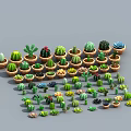 Cartoon Scene With Various Cactus And Succulent Plants In Different Pots