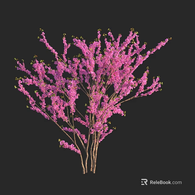Stunning Flowering Tree In Full Bloom With Pink Blossoms And Graceful Branches 3d model 