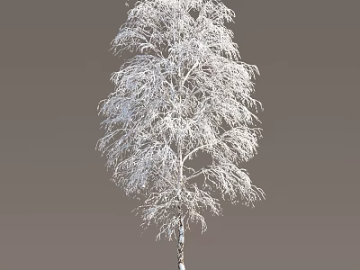 Snow Covered Arbor With White Trunk And Snowy Branches In Winter Scene 3d model