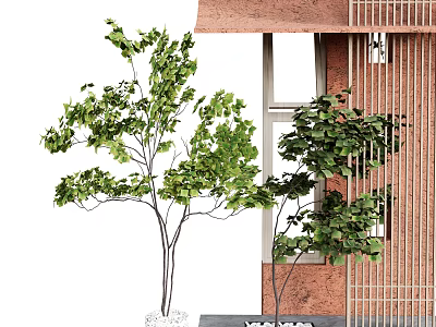 plant combination tree green plant 3d model