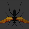 Vibrant Insect With Yellow Orange Wings Black Body And Blue Head Detailed Features