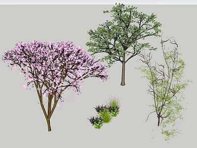 Diverse Arbor Trees Featuring Pink Blossoms Green Foliage Shrubs And Grass 3d model