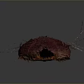 Red Hairy Creature With Long Thin Legs Oval Body And Dark Background