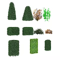 Different Types of Shrubs with Various Shapes and Colors for Garden Landscaping