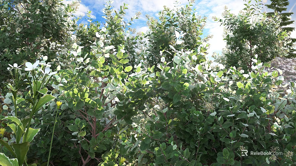 Lush Green Shrubs Growing In Garden With Sunlight And Clear Blue Sky 3d model 